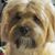 Brenda Brown's profile image