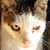 Martha Rademacher's profile image