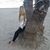 Estelle Rmd's profile image