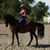 Evanne Deines's profile image