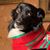 Jacci Davis's profile image