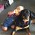 Sherri Ingles's profile image