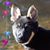 Suzanne Helhowski Stevens's profile image