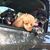 Shanon Bienvenu's profile image
