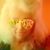 Bonnie Higgins's profile image