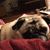 Susan Watson's profile image