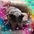 Michelle Gerig Cleary's profile image