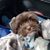 Sherie Reeves's profile image
