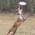 Emily Glickman's profile image