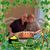 Marion Laverde's profile image