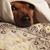Amy Trimble's profile image