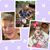Chandra Friedrich's profile image