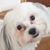 Darrell Tucker's profile image