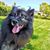 Tim Tibbett's profile image