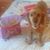 Balu Fzm's profile image