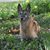 Marion Siara's profile image
