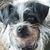 Martine Smith's profile image