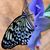 Joan Andresen's profile image