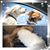 Vicky Fuentes's profile image