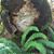 cupcakelove's profile image