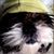 Janice Vandiver's profile image
