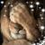 Victoria Lynn Mclaughlin's profile image