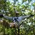 Easi Makshanoff's profile image