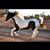 Tiffany Barth-Deelena's profile image