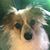 Elleni Drafts's profile image
