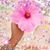 Teri Allen's profile image