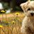 Debbie Doyle's profile image