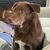 Linda Crossman's profile image