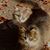 Nettie Engel's profile image