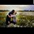 Corey Thornburgh's profile image