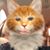 Claudia Flint's profile image