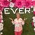 Loni Spendlove's profile image