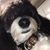 Diana Arrington's profile image