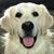 Susan Valinotti's profile image