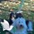 Doug Johnson's profile image
