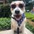 Andrew Garffer's profile image