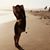 Carmen Marie's profile image