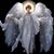 Maria Fierro's profile image