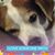 Cherri James's profile image