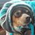 Crystal Dunkin's profile image
