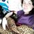 Kim Marie Kane's profile image
