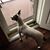 Linda Brewington's profile image