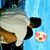 Duvan Herrera's profile image