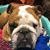 Kim Moss McGuffin's profile image