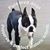 Denise Bokker's profile image