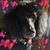 Hilda Alexander Johnson's profile image